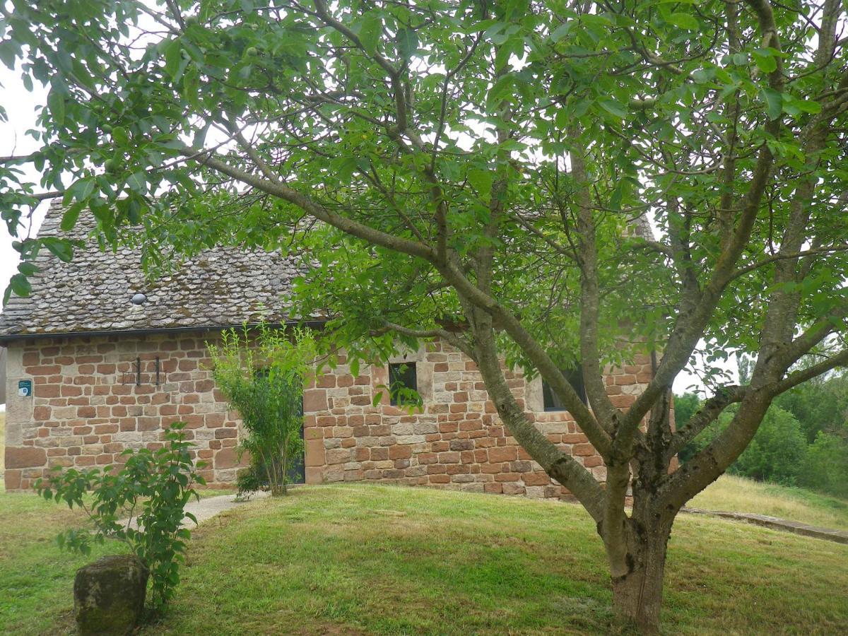 Villa L'Auvaysou à Saint-Cyprien-sur-Dourdou Extérieur photo